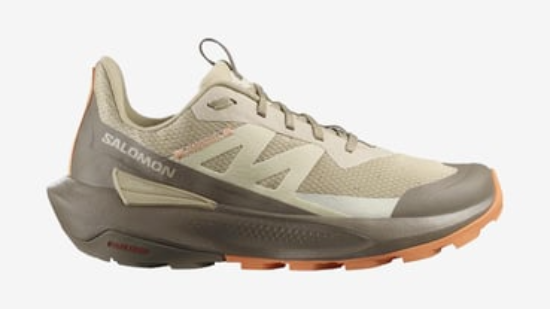 Salomon Elixir Activ W Kadın Ayakkabı L47457600