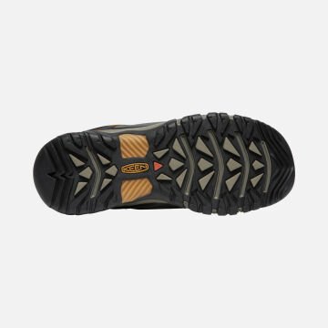 Keen Targhee III KeenDryGtx Su Geçirmez Erkek Ayakkabı Black Olive/Golden Brown 1017784