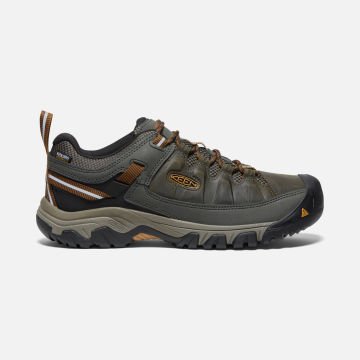 Keen Targhee III KeenDryGtx Su Geçirmez Erkek Ayakkabı Black Olive/Golden Brown 1017784